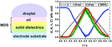 Graphical abstract: Non-linearity and dynamics of low-voltage electrowetting and dewetting