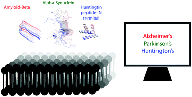 Graphical abstract: Computational insights into lipid assisted peptide misfolding and aggregation in neurodegeneration