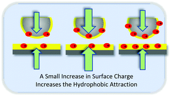 Graphical abstract: Forces between zinc sulphide surfaces; amplification of the hydrophobic attraction by surface charge