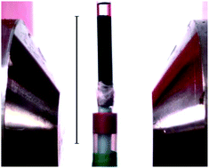Graphical abstract: Magnetically responsive composites: electron beam assisted magnetic nanoparticle arrest in gelatin hydrogels for bioactuation