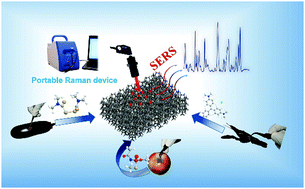 Graphical abstract: Plasmon-coupled 3D porous hotspot architecture for super-sensitive quantitative SERS sensing of toxic substances on real sample surfaces