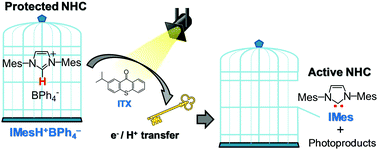 Graphical abstract: Photoreduction of triplet thioxanthone derivative by azolium tetraphenylborate: a way to photogenerate N-heterocyclic carbenes