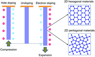 Graphical abstract: Charge-induced electromechanical actuation of two-dimensional hexagonal and pentagonal materials