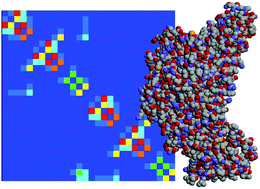 Graphical abstract: Long-range electron–electron interaction and charge transfer in protein complexes: a numerical approach