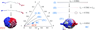 Graphical abstract: Mapping a single-molecule folding process onto a topological space