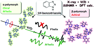 Graphical abstract: The synergy of different solid-state techniques to elucidate the supramolecular assembly of two 1H-benzotriazole polymorphs