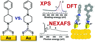 Graphical abstract: A dithiocarbamate anchoring group as a flexible platform for interface engineering