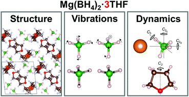 Graphical abstract: Structural and reorientational dynamics of tetrahydroborate (BH4−) and tetrahydrofuran (THF) in a Mg(BH4)2·3THF adduct: neutron-scattering characterization