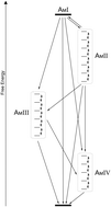 Graphical abstract: Modelling vibrational relaxation in complex molecular systems