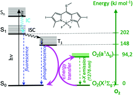 Graphical abstract: Methylthio BODIPY as a standard triplet photosensitizer for singlet oxygen production: a photophysical study