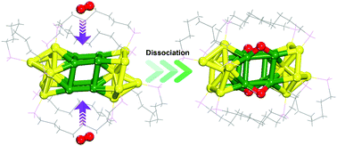 Graphical abstract: An Au22(L8)6 nanocluster with in situ uncoordinated Au as a highly active catalyst for O2 activation and CO oxidation