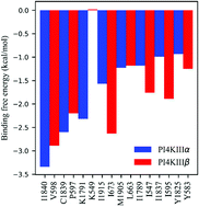 Graphical abstract: Understanding the selectivity of inhibitors toward PI4KIIIα and PI4KIIIβ based molecular modeling