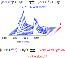 Graphical abstract: Water binding to FeIII hemes studied in a cooled ion trap: characterization of a strong ‘weak’ ligand