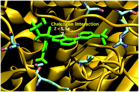 Graphical abstract: Modulating intramolecular chalcogen bonds in aromatic (thio)(seleno)phene-based derivatives