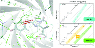 Graphical abstract: The key to the yellow-to-cyan tuning in the green fluorescent protein family is polarisation