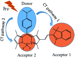 Graphical abstract: Tuning of hyperpolarizability, and one- and two-photon absorption of donor–acceptor and donor–acceptor–acceptor-type intramolecular charge transfer-based sensors