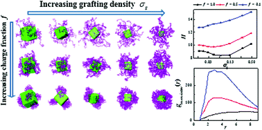 Graphical abstract: Morphologies of a polyelectrolyte brush grafted onto a cubic colloid in the presence of trivalent ions