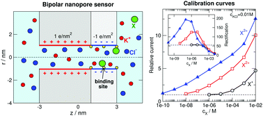 Graphical abstract: Application of a bipolar nanopore as a sensor: rectification as an additional device function