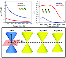 Graphical abstract: Halogenation of SiGe monolayers: robust changes in electronic and thermal transport