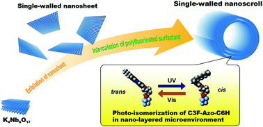 Graphical abstract: Synthesis of a photo-responsive single-walled nanoscroll and its photo-reactivity in a nano-layered microenvironment