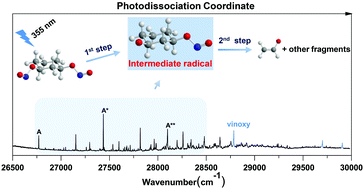 Graphical abstract: Direct observation of the intermediate radical in the photodissociation of 1,3-cyclohexane dinitrite