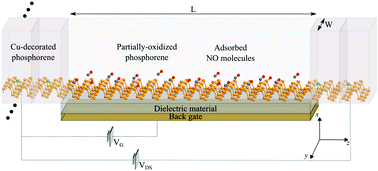 Graphical abstract: Partially-oxidized phosphorene sensor for the detection of sub-nano molar concentrations of nitric oxide: a first-principles study