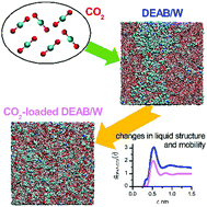 Graphical abstract: The effect of CO2 loading on alkanolamine absorbents in aqueous solutions