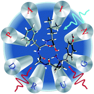 Graphical abstract: Gas-phase structures reflect the pain-relief potency of enkephalin peptides