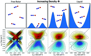 Graphical abstract: Two-dimensional infrared spectroscopy from the gas to liquid phase: density dependent J-scrambling, vibrational relaxation, and the onset of liquid character