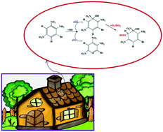 Graphical abstract: Atmospheric oxidation mechanism and kinetics of 2-bromo-4,6-dinitroaniline by OH radicals – a theoretical study