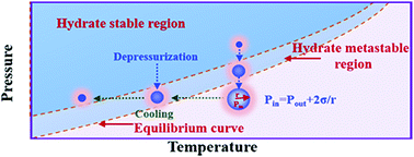 Graphical abstract: Effects of micro-bubbles on the nucleation and morphology of gas hydrate crystals