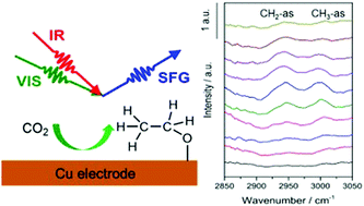 Graphical abstract: Electrochemical CO2 reduction on Cu and Au electrodes studied using in situ sum frequency generation spectroscopy