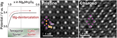 Graphical abstract: Electrochemical phase transformation accompanied with Mg extraction and insertion in a spinel MgMn2O4 cathode material