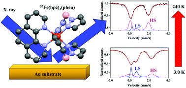 Graphical abstract: Synchrotron-based Mössbauer spectroscopy characterization of sublimated spin crossover molecules