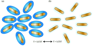 Graphical abstract: Machine learning based temperature prediction of poly(N-isopropylacrylamide)-capped plasmonic nanoparticle solutions