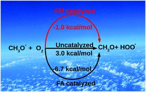 Graphical abstract: Effect of ammonia and formic acid on the CH3O˙ + O2 reaction: a quantum chemical investigation