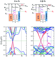 Graphical abstract: Tunable Schottky and Ohmic contacts in graphene and tellurene van der Waals heterostructures