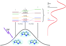 Graphical abstract: UV absorption spectra of DNA bases in the 350–190 nm range: assignment and state specific analysis of solvation effects