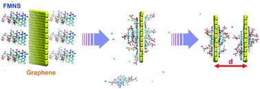 Graphical abstract: Stabilization of aqueous graphene dispersions utilizing a biocompatible dispersant: a molecular dynamics study