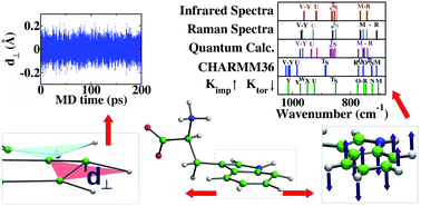 Graphical abstract: Planarity and out-of-plane vibrational modes of tryptophan and tyrosine in biomolecular modeling