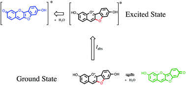 Graphical abstract: Ground and excited state properties of furanoflavylium derivatives