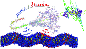 Graphical abstract: Order–disorder skewness in alpha-synuclein: a key mechanism to recognize membrane curvature