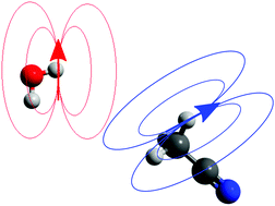 Graphical abstract: Proton NMR relaxation from molecular dynamics: intramolecular and intermolecular contributions in water and acetonitrile