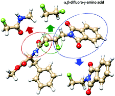 Graphical abstract: Fluorine conformational effects characterized by energy decomposition analysis