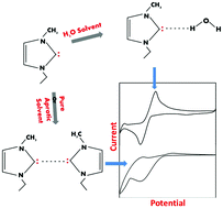 Graphical abstract: Water-assisted stability of carbene: cyclic voltammetric investigation of 1-ethyl-3-methylimidazolium ethylsulfate ionic liquid