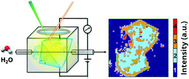 Graphical abstract: Micro-spectroscopy of HKUST-1 metal–organic framework crystals loaded with tetracyanoquinodimethane: effects of water on host–guest chemistry and electrical conductivity