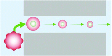 Graphical abstract: The in situ electrochemical detection of microbubble oscillations during motion through a channel