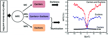 Graphical abstract: Correlated magnetic field effects on carriers and excitons in single-carrier exciplex-based organic photodiodes