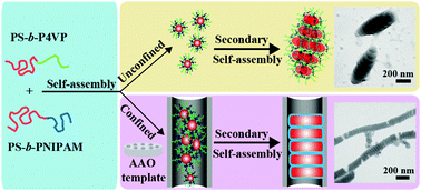 Graphical abstract: Hierarchical self-assembly of a PS-b-P4VP/PS-b-PNIPAM mixture into multicompartment micelles and their response to two-dimensional confinement