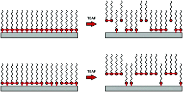 Graphical abstract: Dependence of deposition method on the molecular structure and stability of organosilanes revealed from degrafting by tetrabutylammonium fluoride